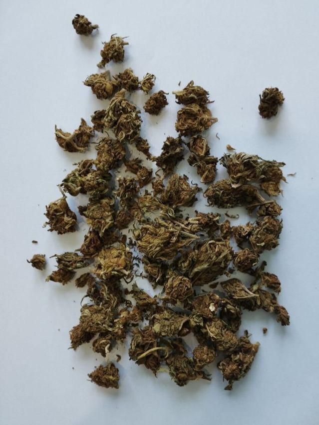 na-lvivshhini-zatrimano-narkodillera-jak