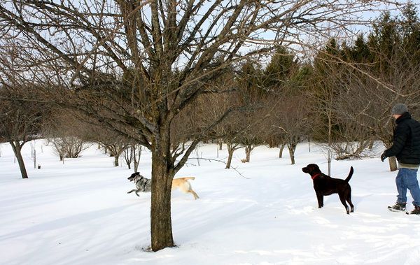 perevir-chi-nalezhish-ti-do-1-ljudej-jak