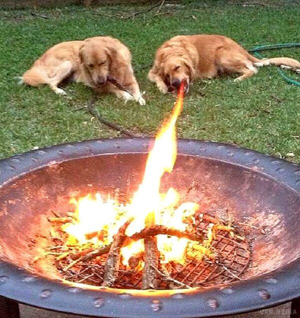 perevir-chi-nalezhish-ti-do-1-ljudej-jak