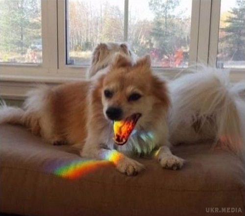 perevir-chi-nalezhish-ti-do-1-ljudej-jak