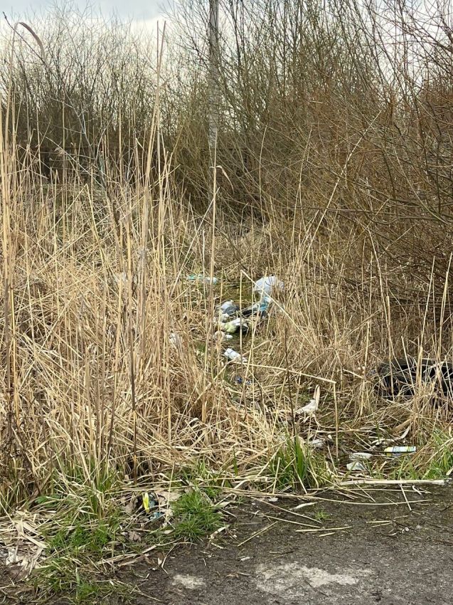 u-nizci-gromad-lvivshhini-znovu-zafiksuv