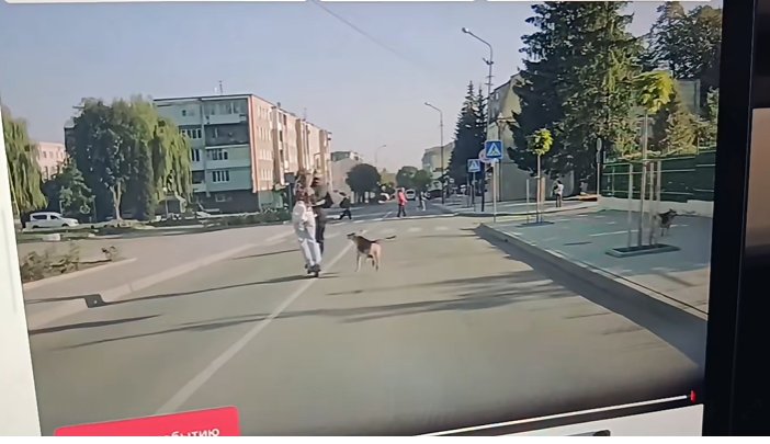 DrogMedia У Бориславі за день виникли дві аварійні ситуації з самокатами