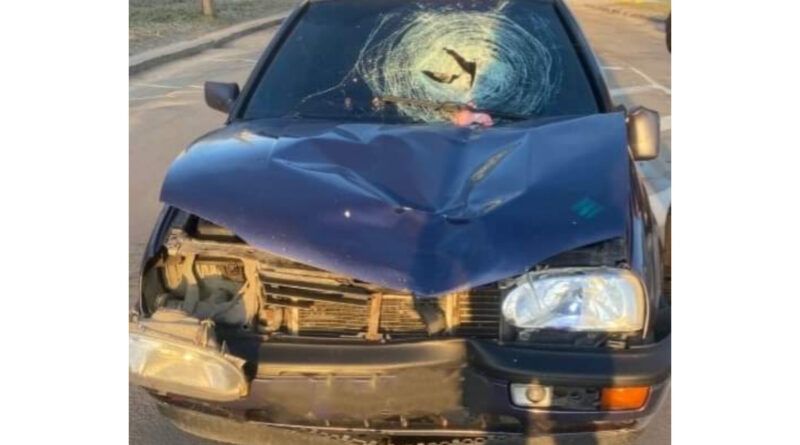 У Дрогобичі під колесами автомобіля загинула жінка 1 У Дрогобичі під колесами автомобіля загинула жінка